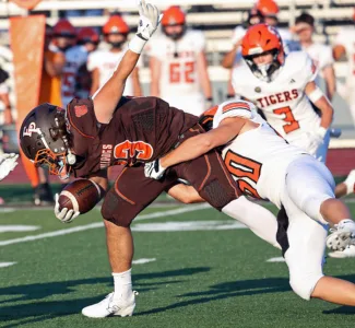 Rough start for Bulldogs